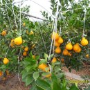 운암농장 이미지