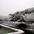 무주김밥나라 이미지