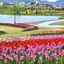 그린아일랜드 야외도서관 | 그린 정원 "바다는 잘 있습니다" 이병률 시집 읽고 느낀점 (그린아일랜드 야외도서관, 순천오천그린광장)