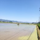 팜공인중개사사무소 이미지