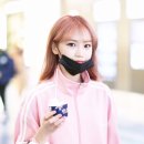 채원가 이미지