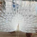 봉화랜드 이미지