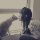 이쁜냥이 이미지