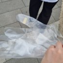 한나간호학원 | 하루 종일 토익 공부에 매달려 있는 나(feat. 알바생 코로나 검사, 모더나 백신 1차 접종 후기)
