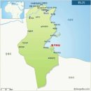 이다플랜트 이미지