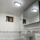 고호대박 이미지