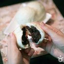 호나 이미지