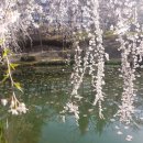 한국대중음악박물관 이미지