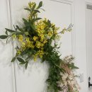 4월31일성형외과의원 이미지