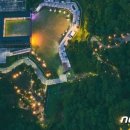 강아지 숲 이미지