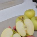 청서사과원 이미지