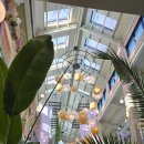 아름다운인연 | ❄️ 눈 내린 겨울 아침, 천안에서 시작된 소중한 첫 만남