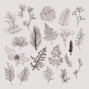 Botanical Logos Illustrations 이미지