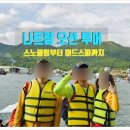 오션투어 티스토리