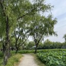 공주-62 | 공주-부여 가볼만한곳 10곳 1박2일 여행코스 맛집 리스트 총정리