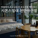 당진낙협동물병원 | 시몬스 침대 천안아산점 부모님침대 매트리스 여름맞이 효도선물