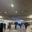 (공연) 캣츠 오리지널 내한공연1 | [공연] 센과 치히로의 행방불명 오리지널 내한 공연 : 인생 공연!! 1층 B 블록 2열 관람 후기