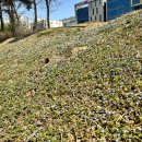 호두나무한의원 이미지