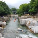 청솔민박펜션 이미지