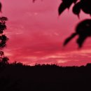 구름나그네 이미지