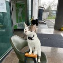 의성골프존파크 이미지