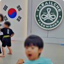 태아일체 선호 태권도장 이미지