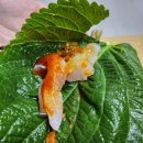 남강배달횟집