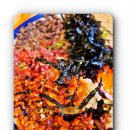 행운상회 이미지