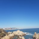 대왕암공원 이미지