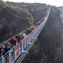 출렁다리농산물 이미지