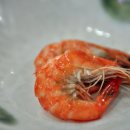 본동물회 이미지