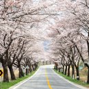 청풍한지체험장 이미지