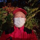 상록체육관 이미지