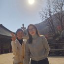 수함요새 이미지