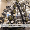 피트니스 디오 | 일산 장항동 헬스장 디오피트니스 정발산점 위치 가격 후기
