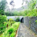 힐리언스 | 강원 홍천 힐리언스 선마을 후기 – 부대시설 및 식사 체험 솔직 리뷰!