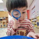 옥스포드숲어린이집 이미지