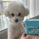 그루밍, 안나 이미지