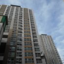 소로3-성남65 이미지