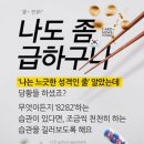 비전공자 문과생 직장인이 코딩 학원에서 처음 파이썬 한 달 배운 후기