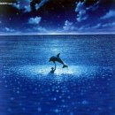 그랑블루 이미지