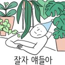 금룡미용실