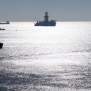 대왕자원 이미지