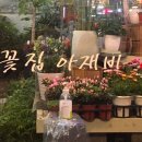 꽃집아재비 이미지