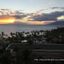 알로하 호텔 이미지