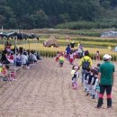 청사초롱마을 이미지