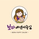 보라애견샵 네이버블로그