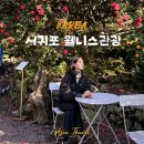 제주차롱농장 | 서귀포겨울여행코스 1박2일 제주여행지도 서귀포 웰니스 관광 치유의숲 감귤따기 동백꽃