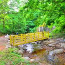 김천물소리생태숲_#2 이미지