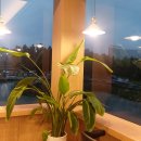 탑 골프연습장 이미지